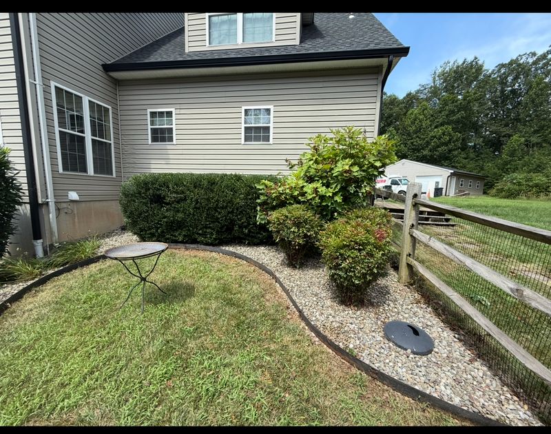 Mulch Installation