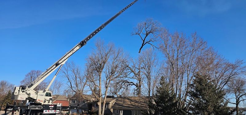 Storm Damage Clean-Up