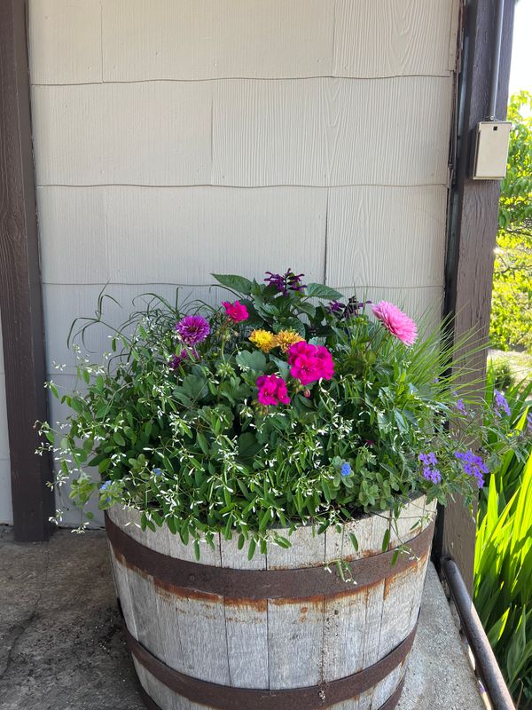 Container Gardening