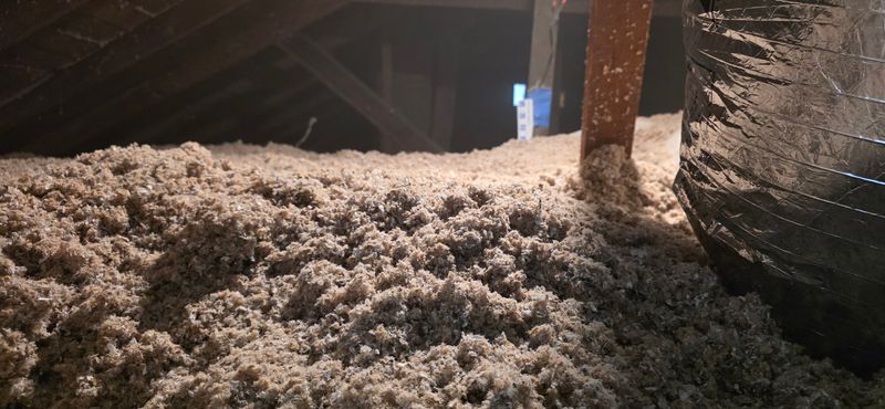 Eco-Friendly Insulation Options