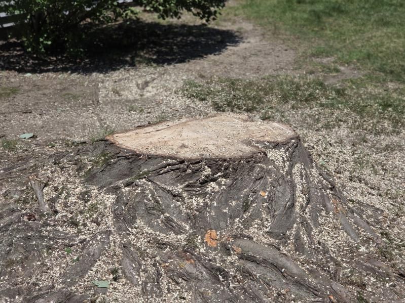 Stump Grinding