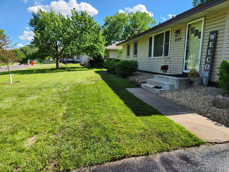 New grass