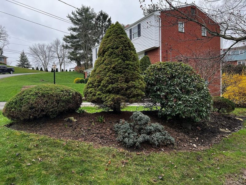 Shrub Trimming