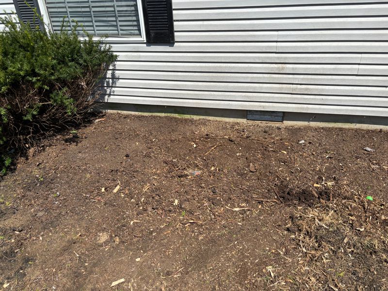 Stump Removal