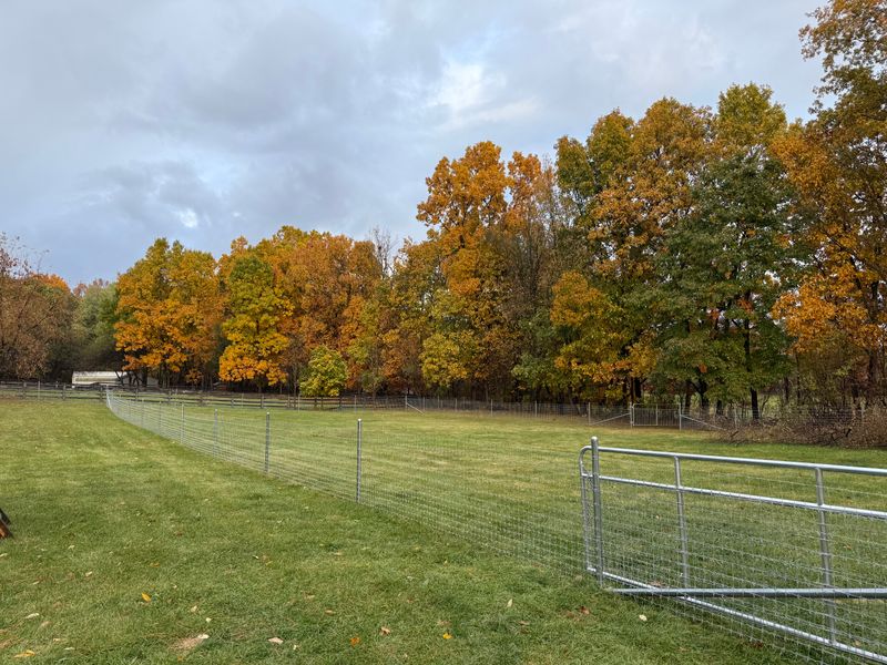 Commercial Fencing