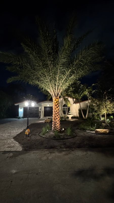 Landscape Lighting 