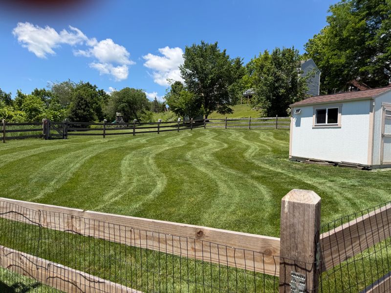 Lawn Care