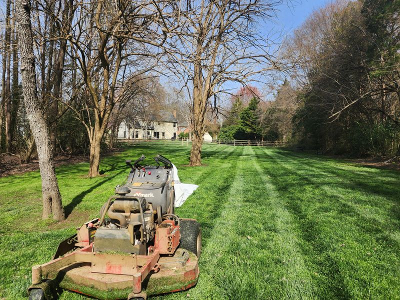Lawn Maintenance