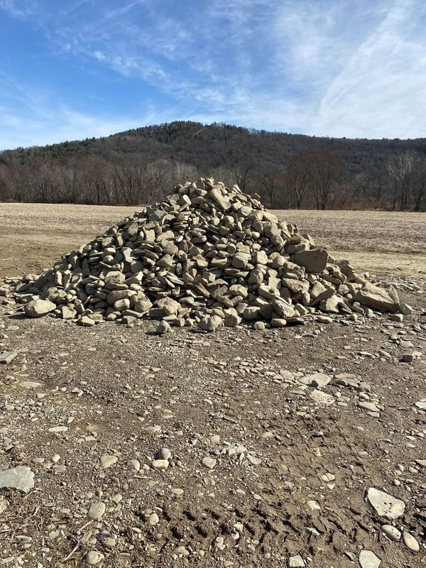 Land Clearing gallery