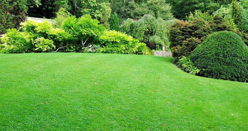 Other Lawn Services