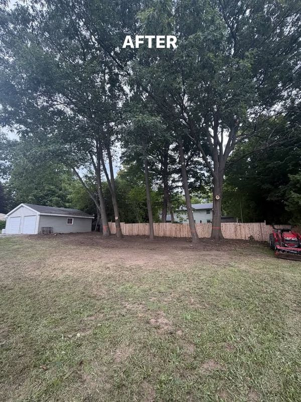 Land Clearing