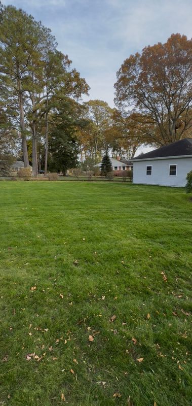 Lawn Mowing & Maintenance
