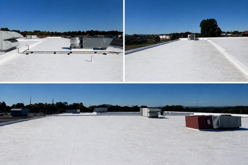 TPO Roofing