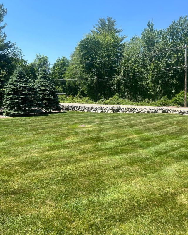 Lawn Care & Maintenance