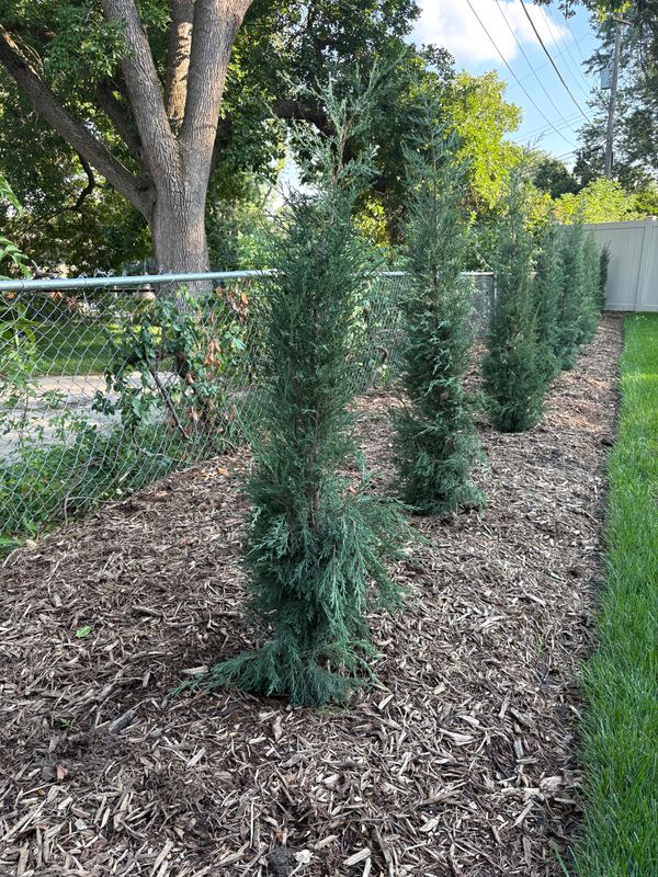 Garden Design