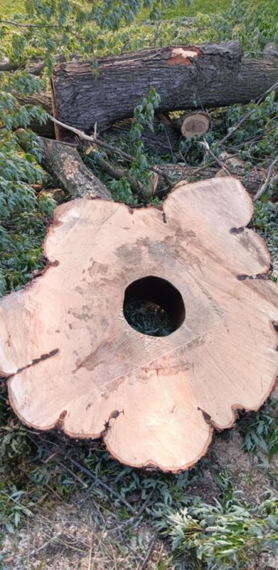 Tree Removal