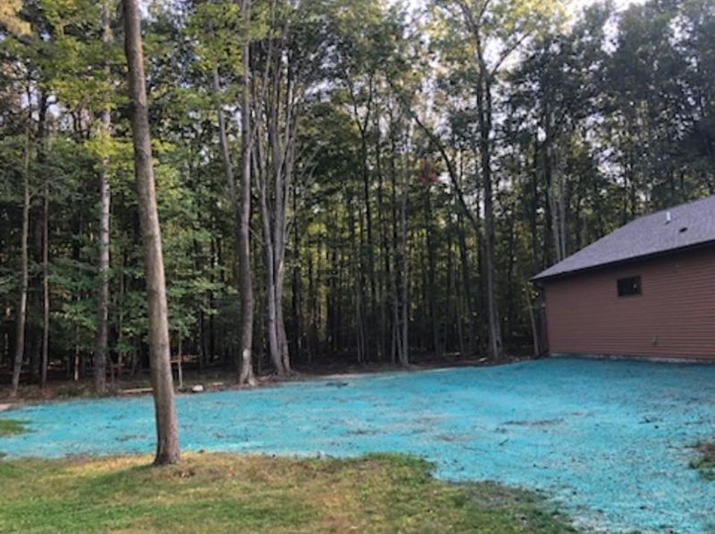 Hydroseeding