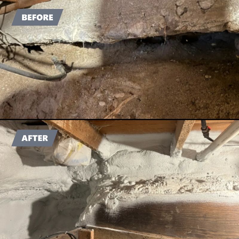 Crawl Space Maintenance