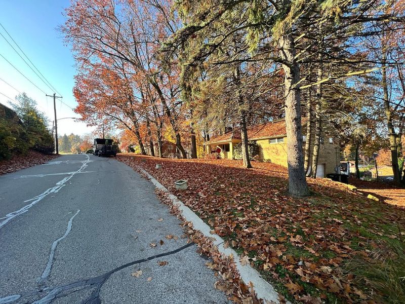 Fall and Spring Clean Up