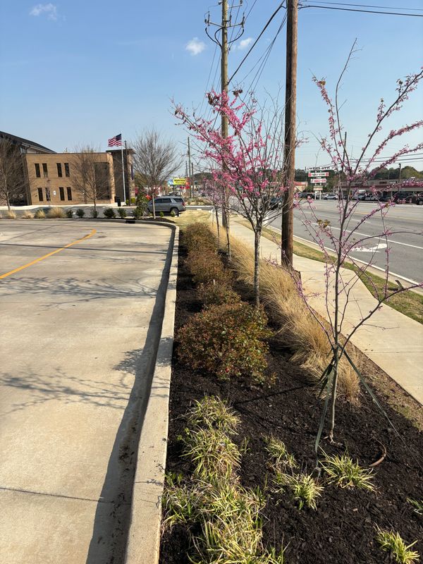Mulch and Pinestraw Installation