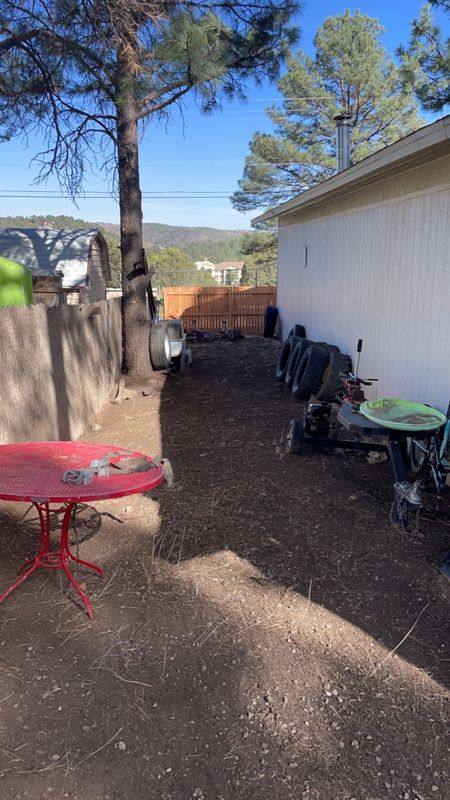 Pine needle clean up