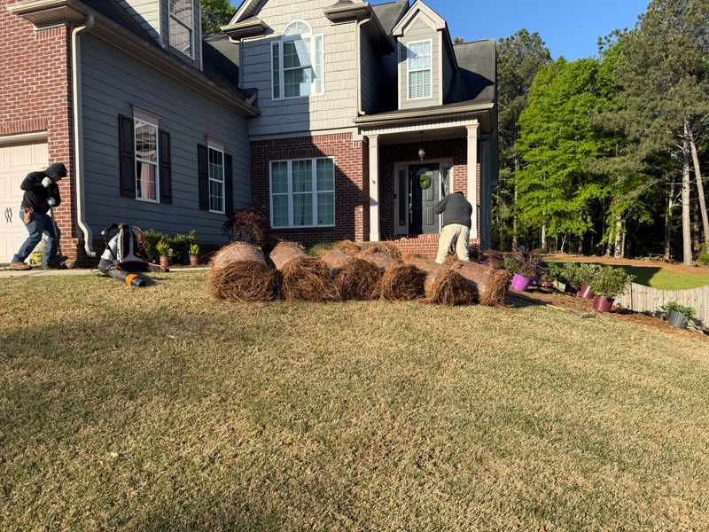 Pine Straw and Mulch