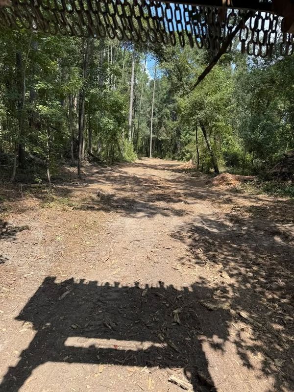 Land Clearing