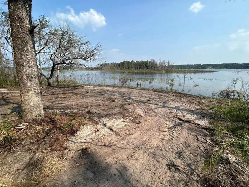 Land Clearing/ Forestry mulching gallery
