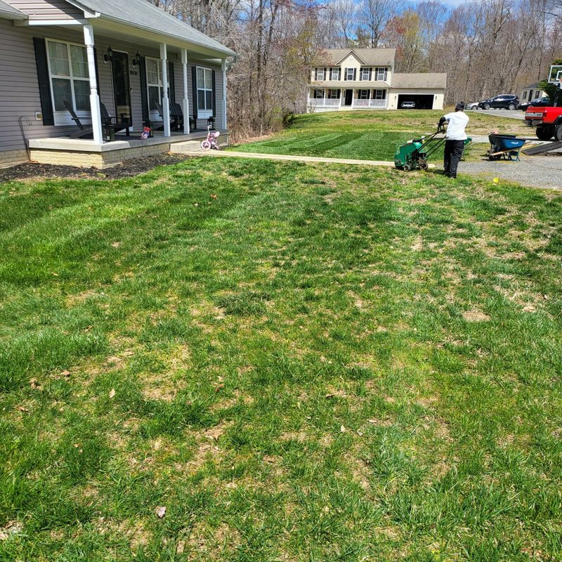 Aeration and Overseeding
