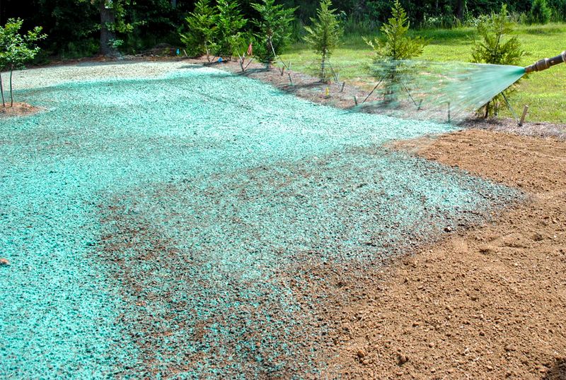 Hydroseeding