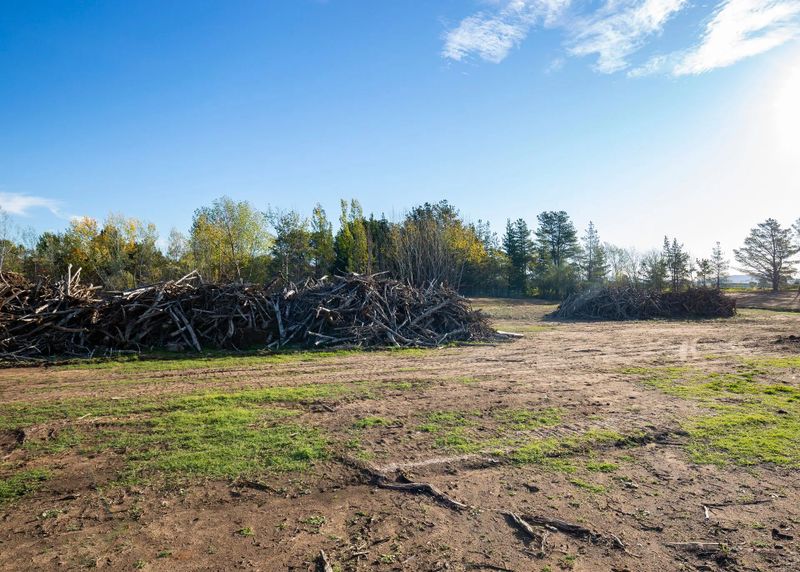 Lot Clearing