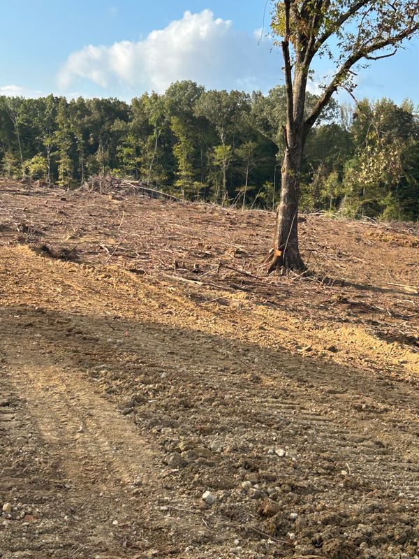 Land Clearing