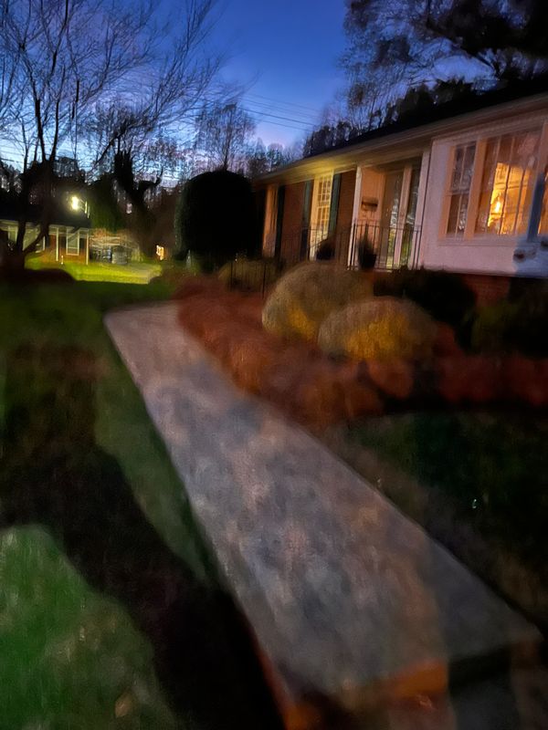 Pine Needle Installation