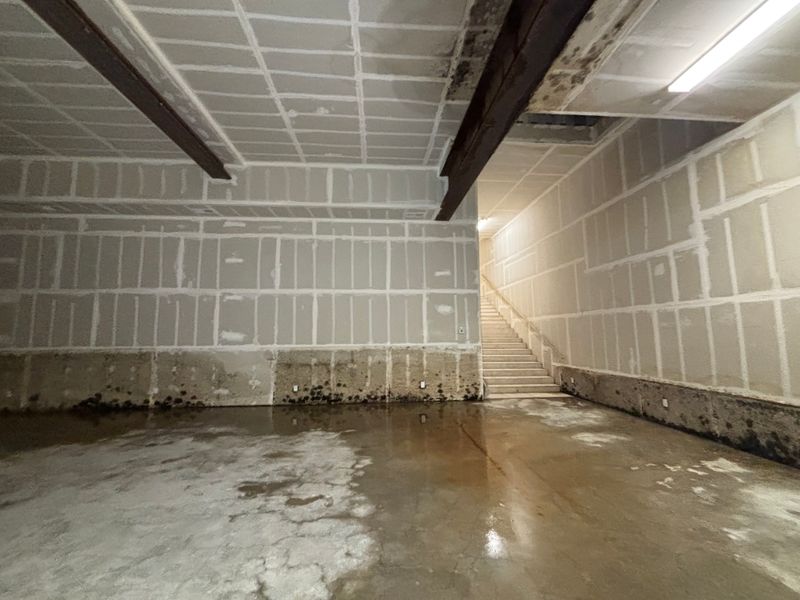 Mold Inspections