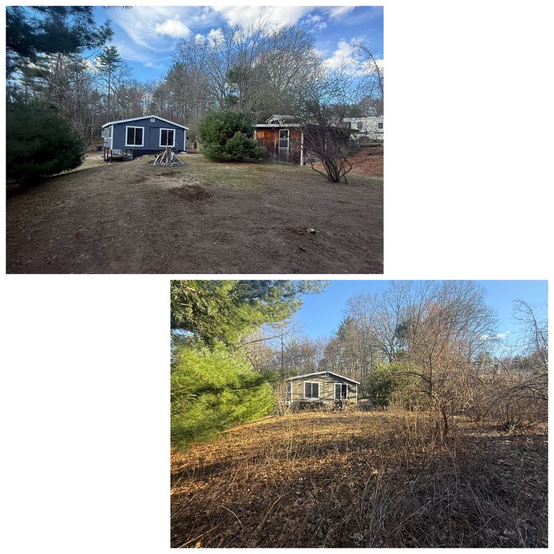 Brush Removal
