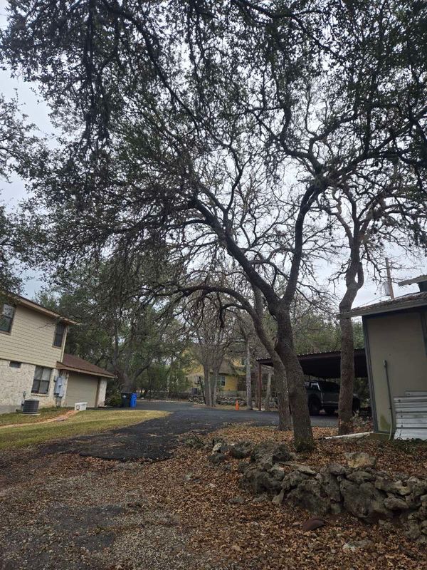 Tree work