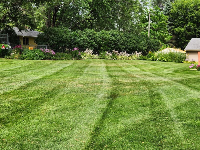 Mowing 