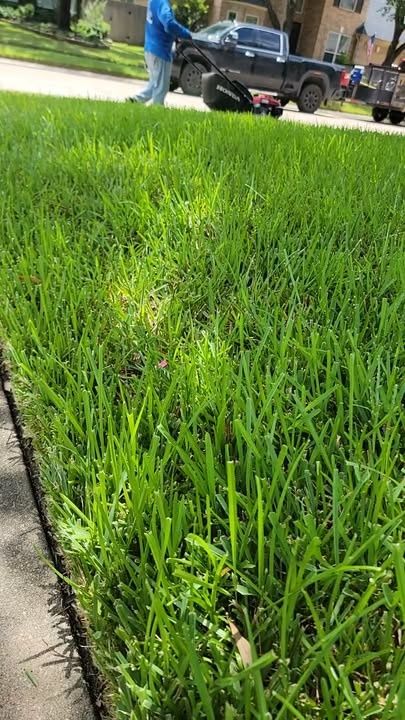 Lawn Mowing