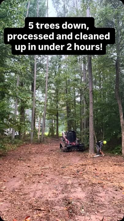 Land Clearing