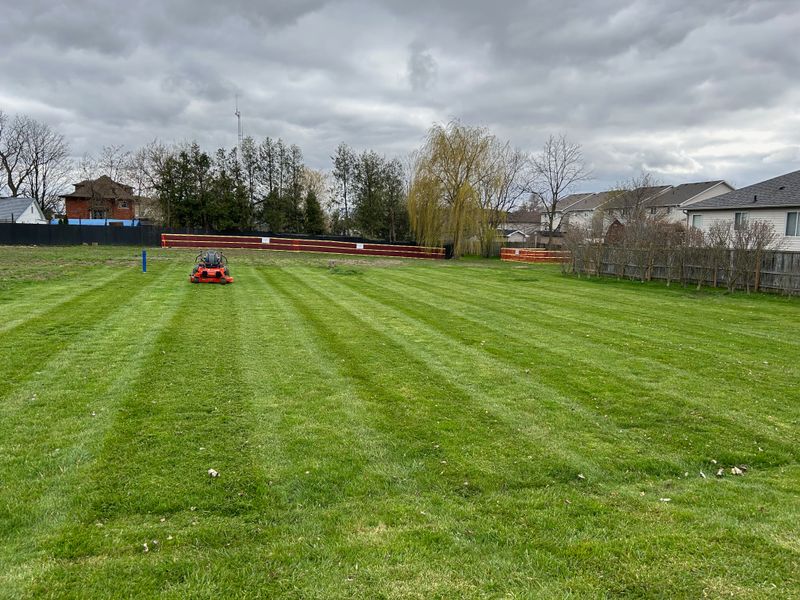 Lawn Mowing