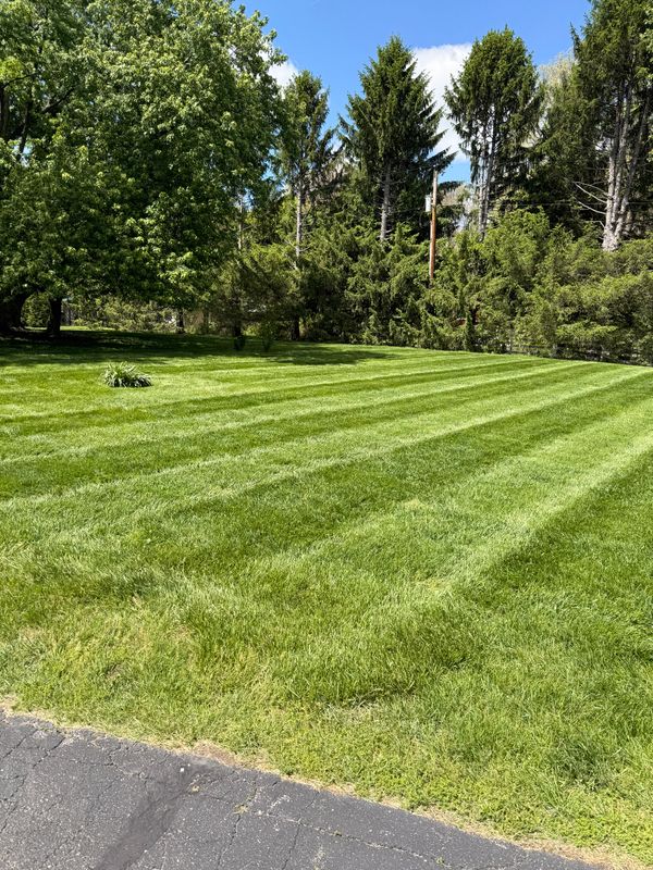 Lawn Care and Maintenance