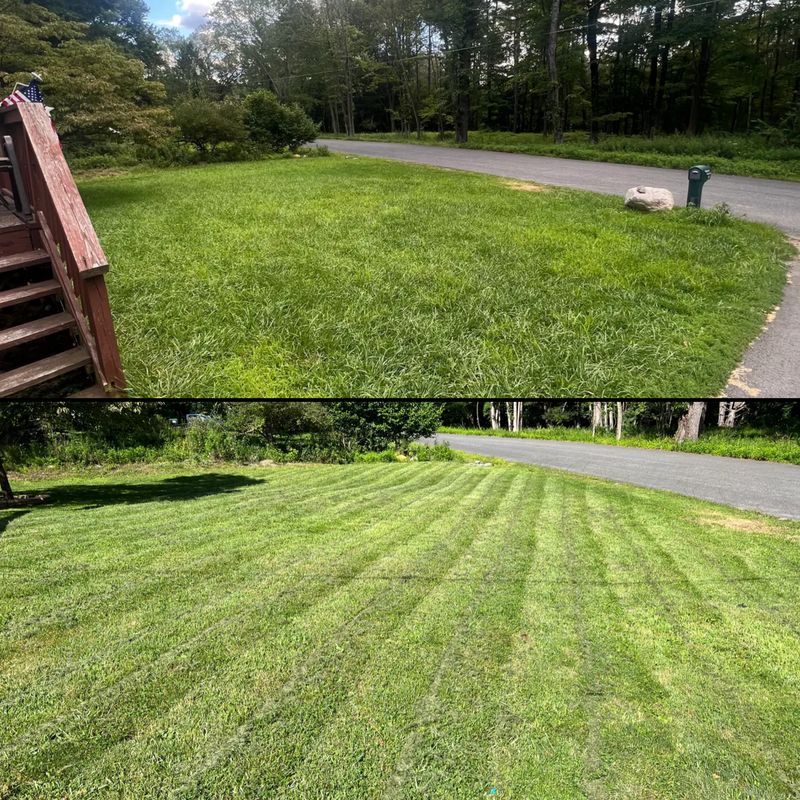 Lawn Care