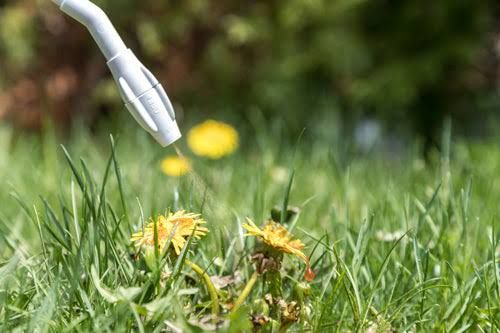 Weed Control