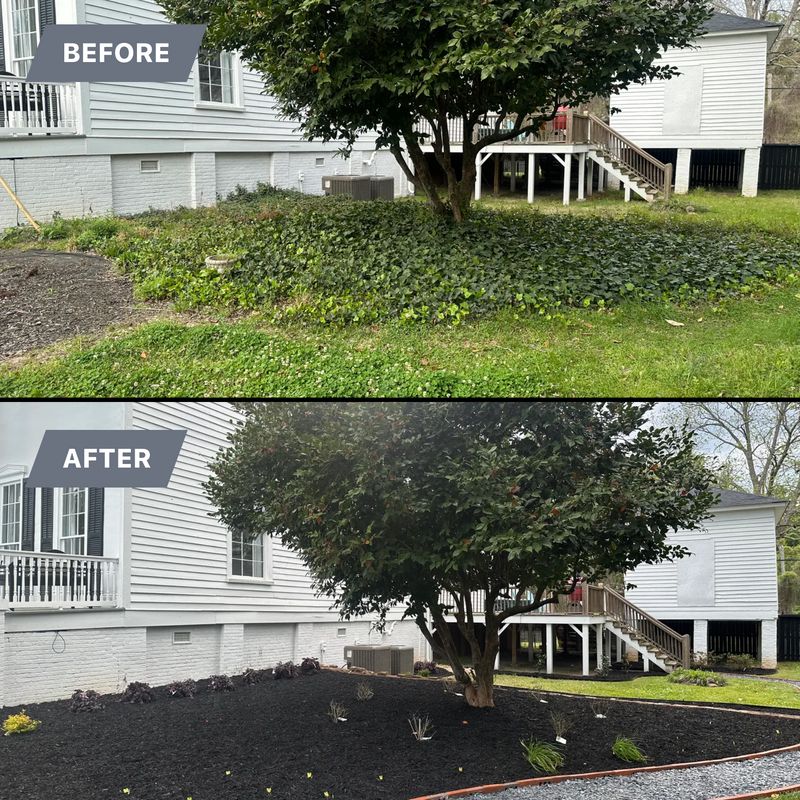 Pinestraw/Mulch installation