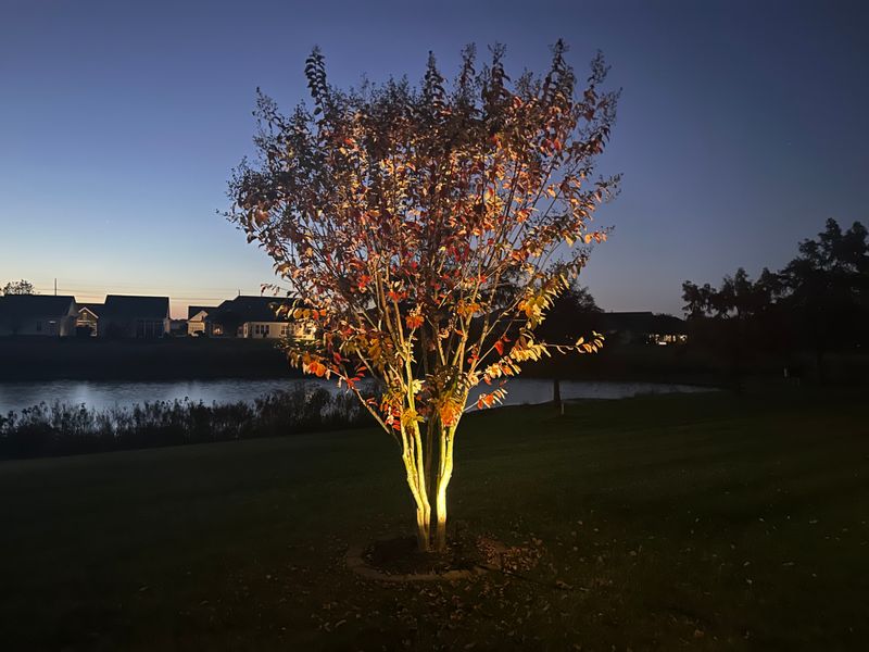 Landscape Lighting Installation