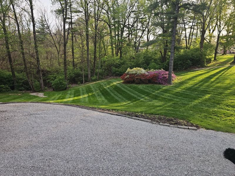 Lawn Maintenance