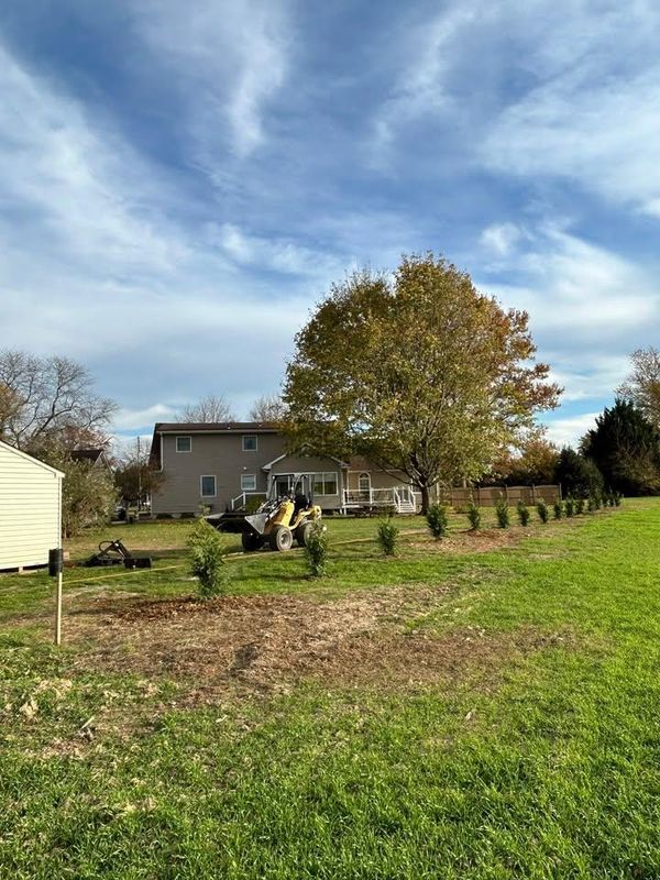 Tree and Shrub Planting