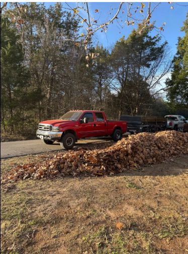 Leaf Cleanup