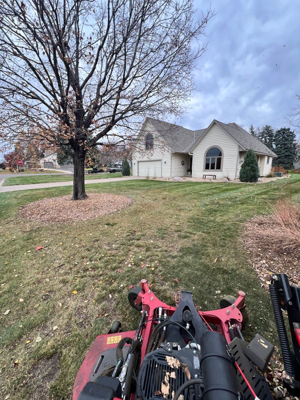 Yard Clean Up