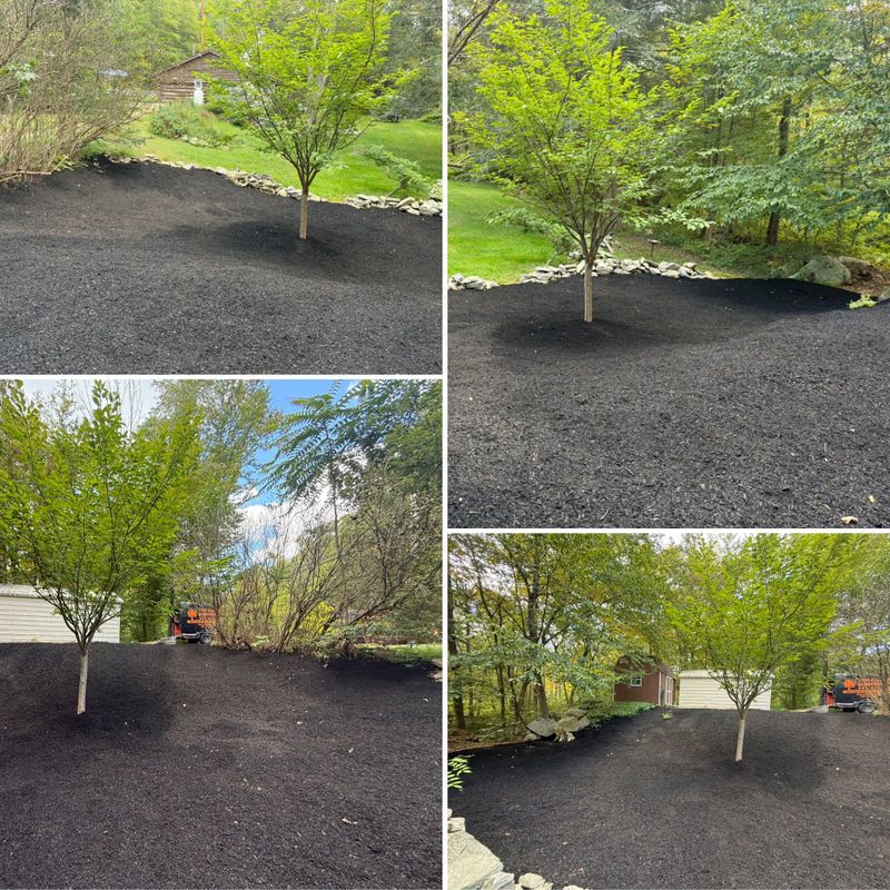 Mulch Installation